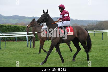 Race Three. The Glenfarclas Cross Country Chase.   Delta Work ridden by Robert James at the start    Horse Racing at Cheltenham Racecourse, Prestbury Stock Photo