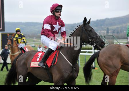 Race Three. The Glenfarclas Cross Country Chase.   Delta Work ridden by Robert James at the start    Horse Racing at Cheltenham Racecourse, Prestbury Stock Photo