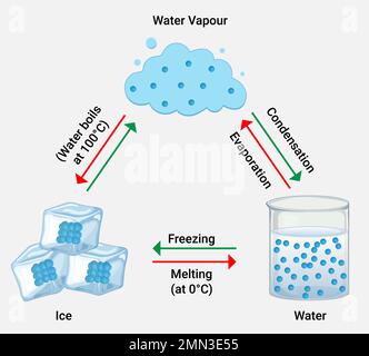 Interconversion of the three states of Water Stock Vector