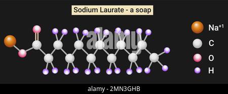 Structure of Sodium Laurate (soap) Stock Vector