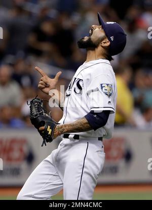 Tampa Bay Rays opener Sergio Romo got a new puppy - DRaysBay