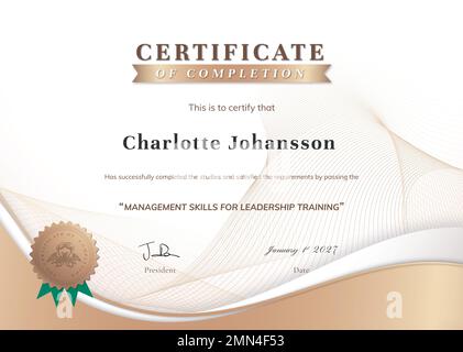 Professional certificate template vector, business course training Stock Vector