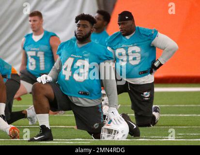 Miami Dolphins defensive tackle Anthony Moten (43) attempts to