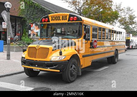 School bus in North America Stock Photo