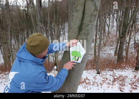 30 January 2023, Thuringia, Jena: Silvester Tamàs from the Thuringia Nature Conservation Union stops in the Dorlwald forest near Jena. A sign on a tree. This piece of forest has been designated as the third lynx forest by the nature conservation association. In the future, lynxes should be able to settle here. Photo: Bodo Schackow/dpa Stock Photo