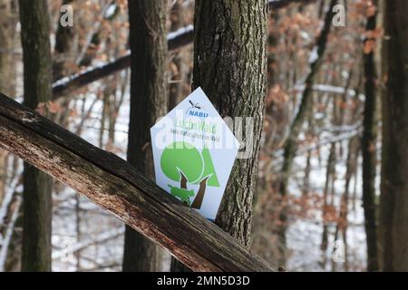 30 January 2023, Thuringia, Jena: A sign indicating the lynx forest hangs on a tree in Dorlewald. This piece of forest has been designated as the third lynx forest by the Nature and Biodiversity Conservation Union. In the future, lynxes should be able to settle here. Photo: Bodo Schackow/dpa Stock Photo