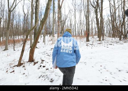 30 January 2023, Thuringia, Jena: Silvester Tamàs from the Naturschutzbund Thüringen runs in the Dorlwald near Jena. This piece of forest has been designated as the third lynx forest by the nature conservation association. In the future, lynxes should be able to settle here. Photo: Bodo Schackow/dpa Stock Photo