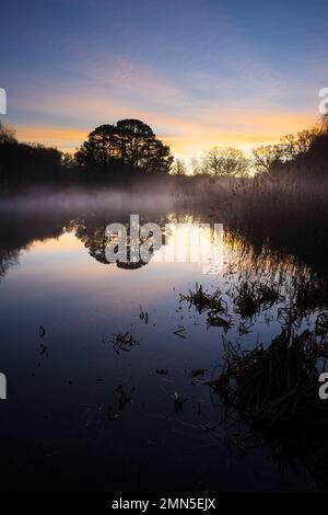 Misty sunrise over the Ornamental Lake on Southampton Common in winter Stock Photo