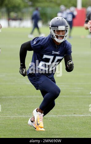 Wesley Woodyard Tennessee Titans National Anthem Hero 12/24/17 Week 16  #imwithkap