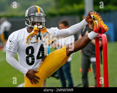 Pittsburgh Steelers Antonio Brown smiles from the bench while