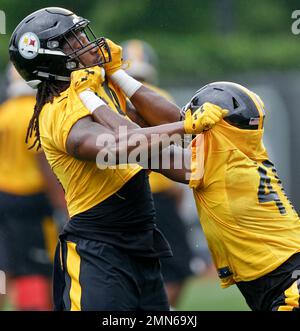 Pittsburgh Steelers outside linebackers T.J. Watt (90) and outside  linebacker Bud Dupree (48) on the sideline