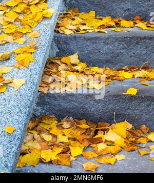 Bright yellow fallen leaves on granite steps Stock Photo