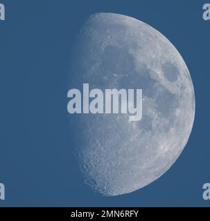 London, UK. 30 January 2023. The sunlit Gibbous Moon in blue afternoon sky with craters and mountain ranges clearly visible at the terminator. Credit: Malcolm Park/Alamy Live News Stock Photo