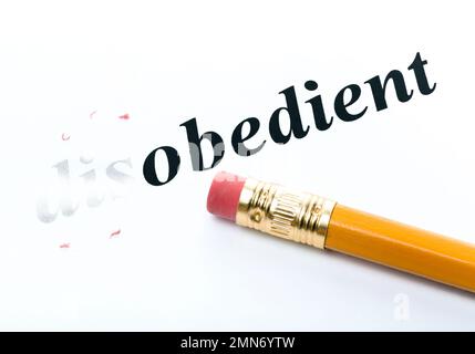 Word and pencil with eraser close-up Increased focus area Stock Photo