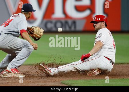 Spring training stunner: Cardinals' Yairo Munoz released after