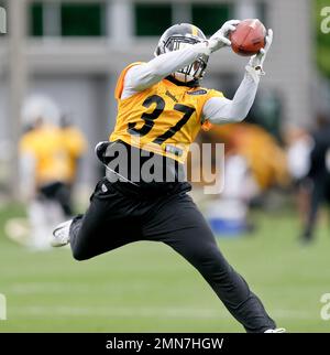 Pittsburgh Steelers defensive back Jordan Dangerfield (37) runs off the  field following the Steelers 52-21 win against the Carolina Panthers at  Heinz Field in Pittsburgh on November, 2018. Photo by Archie Carpenter/UPI