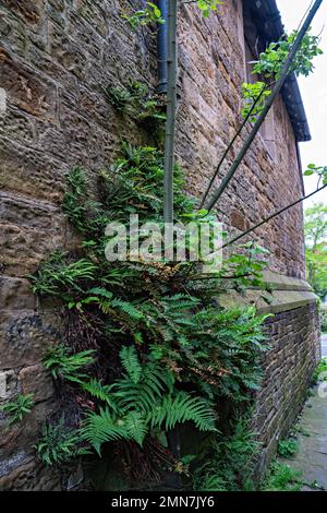 Narrow alleyway between buildings Stock Photo