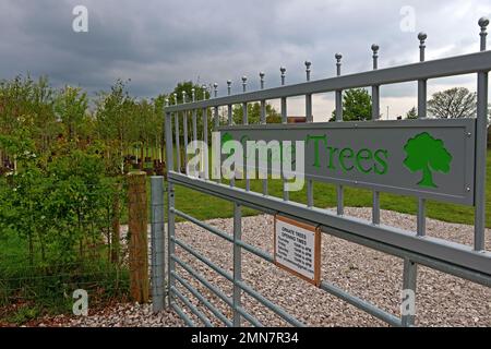 Nursery gates store