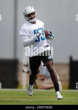 August 17, 2019: Detroit Lions running back Kerryon Johnson (33) prior to  an NFL football pre-season game between the Detroit Lions and the Houston  Texans at NRG Stadium in Houston, TX. ..Trask