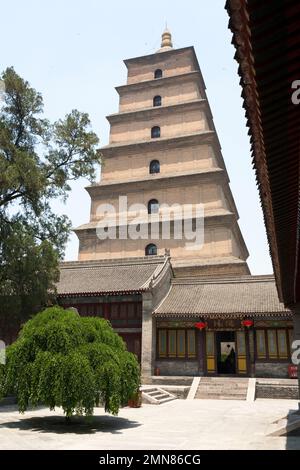 View of the Da Yan / Da Tan / popular; 'Giant Wild Goose' Pagoda in grounds of Daci'en Temple, a Buddhist temple in Yanta District, Xian, China. (125) Stock Photo