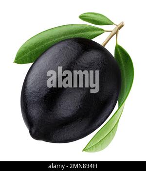 One black olive isolated on white background Stock Photo