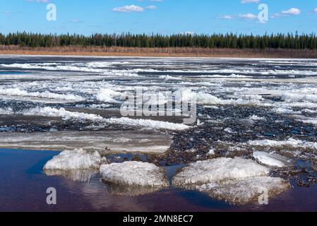 Ice drift on the spring river in Yakutia Vilyui against the background of the taiga forest and clear water over the clouds. Stock Photo
