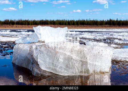 The ice floe lies aground. Ice drift on the spring river in Yakutia Vilyui against the background of the taiga forest and water over the clouds during Stock Photo