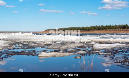 Ice floes lie aground without a current. Ice drift on the spring river in Yakutia Vilyui against the background of the taiga forest and water under th Stock Photo