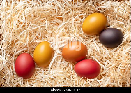 Colorful dyed Easter eggs in a wood wool nest, from above. Paschal eggs, hard boiled, colored chicken eggs, in a bed of wood slivers, cut from logs. Stock Photo