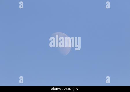 Dover, UK. 30 January 2023. The sunlit Gibbous Moon in blue afternoon sky with craters and mountain ranges clearly visible at the terminator. Credit: glamourstock/Alamy Live News Stock Photo