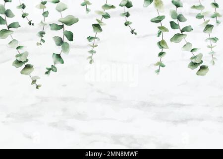 Hand drawn eucalyptus leaf on white marble background vector Stock Vector