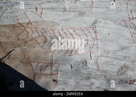 Almost 7000 years ago  stoneage fishermen and Reindeer herders made famous Kirkely rock carvings near Tennes in Balsfjord in Nord Norway Stock Photo