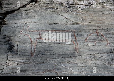 Almost 7000 years ago  stoneage fishermen and Reindeer herders made famous Kirkely rock carvings near Tennes in Balsfjord in Nord Norway Stock Photo