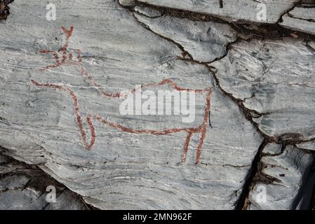 Almost 7000 years ago  stoneage fishermen and Reindeer herders made famous Kirkely rock carvings near Tennes in Balsfjord in Nord Norway Stock Photo