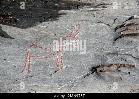 Almost 7000 years ago  stoneage fishermen and Reindeer herders made famous Kirkely rock carvings near Tennes in Balsfjord in Nord Norway Stock Photo