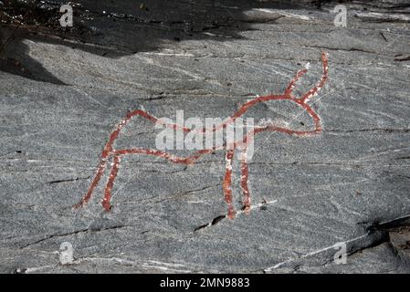 Almost 7000 years ago  stoneage fishermen and Reindeer herders made famous Kirkely rock carvings near Tennes in Balsfjord in Nord Norway Stock Photo