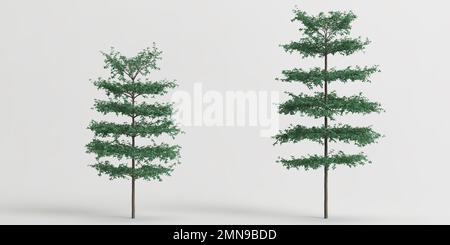 3d illustration of set terminalia mantaly tree isolated on white background Stock Photo