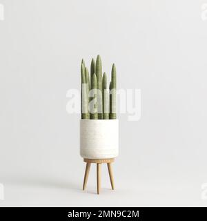 3d illustration of house plant isolated on white background Stock Photo