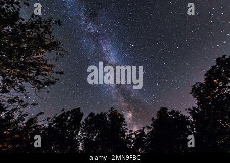 Starry sky and milky way seen from the woods Stock Photo - Alamy