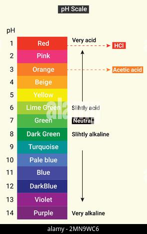 pH of Samples Experiment : Color of universal indicator paper Stock Vector