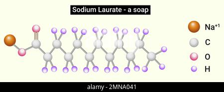 Structure of Sodium Laurate (soap) Stock Vector