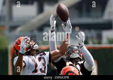 Cincinnati Bengals linebacker Brandon Bell stands on the field