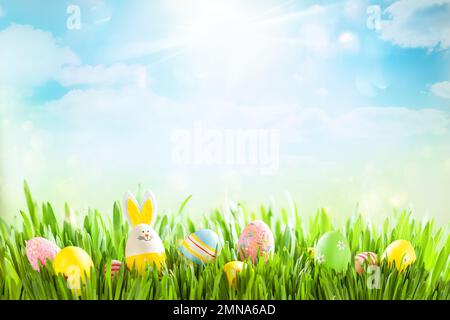 Easter eggs on meadow. Easter concept. Spring or summer background with fresh grass on blue sky backdrop with copy space. Stock Photo