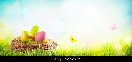 Easter composition with colorful Easter eggs in nest on green grass. Easter concept with copy space. Stock Photo