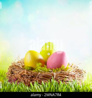Easter composition with colorful Easter eggs in nest on green grass. Easter concept with copy space. Stock Photo