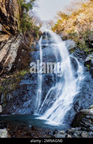 Waterfall in green forest. Mountain cascade river splashing on rock stones. Stock Photo