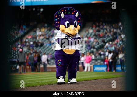Colorado Rockies mascot Dinger the dinosaur, back, checks the mohawk of  Josh Pugh, who was selected as the team's fan of the year, before the  Rockies play Milwaukee Brewers in a baseball