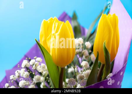 Bouquet of flowers of tulips and gypsophila on a blue background, hello spring, from March 8 Stock Photo