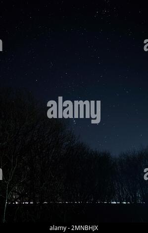 Curve of trees and treetops without leaves silhouetted against night sky with stars Stock Photo