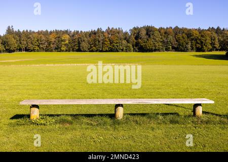 Lonely wooden bench in an empty meadow in autumn Stock Photo